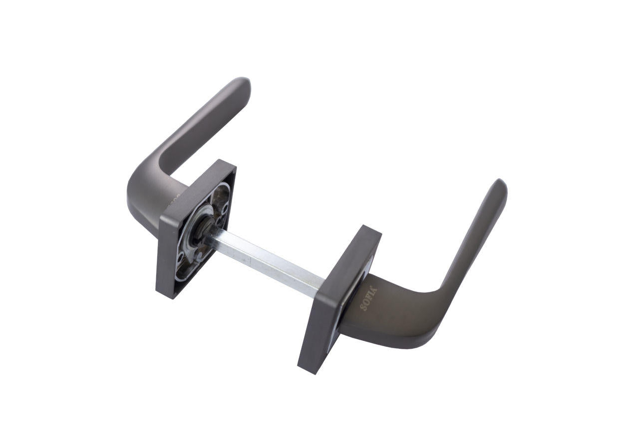 Ручка на розетці FZB - Sofia C038QX3 GRAFIT/CP