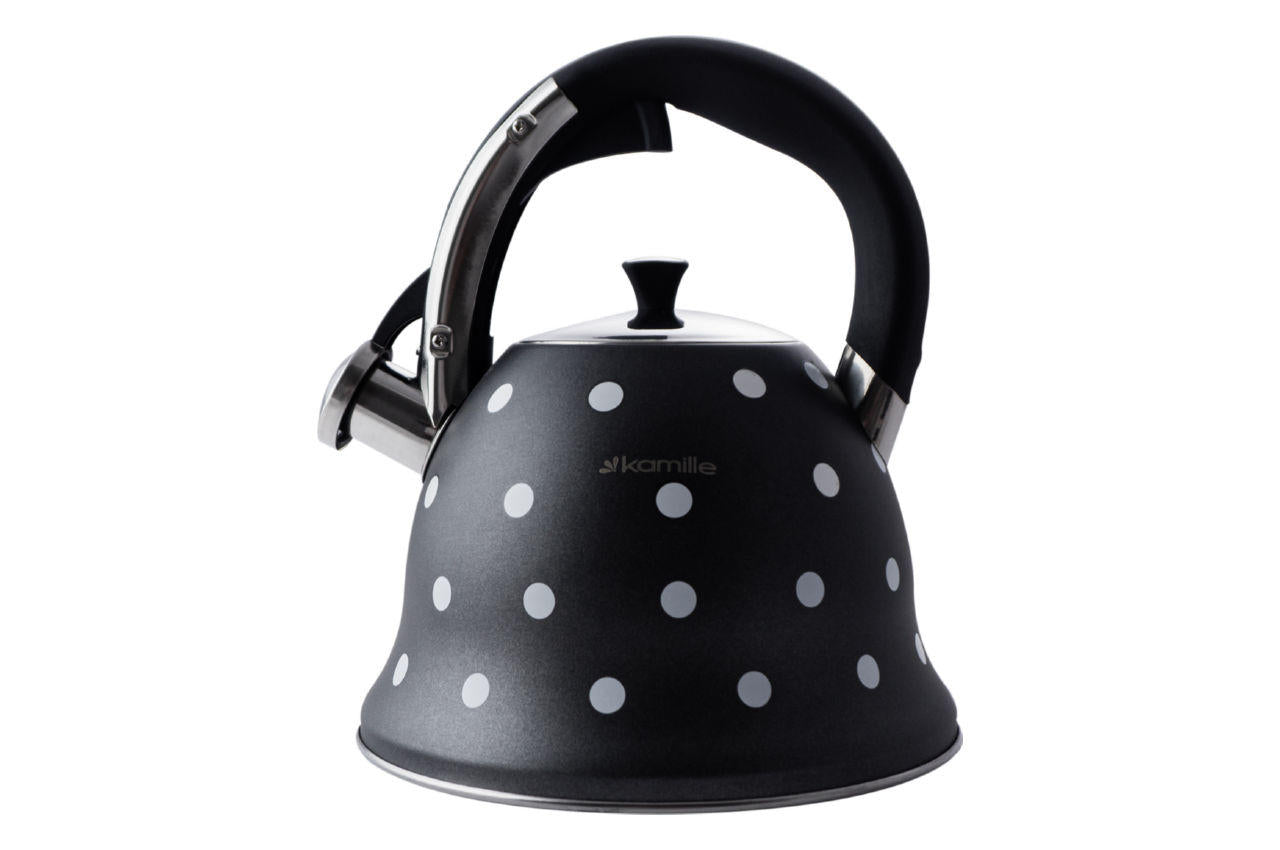Чайник нержавеющий Kamille - 2,5 л