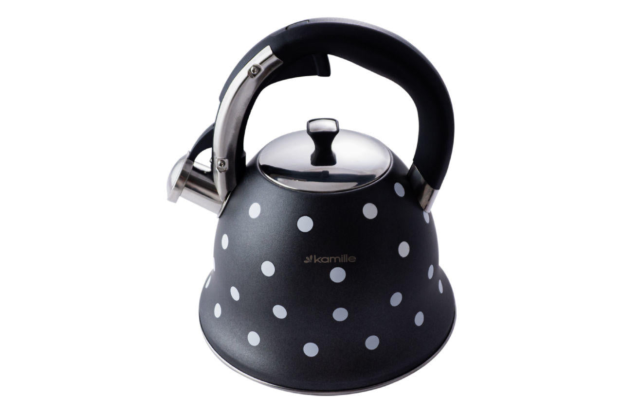 Чайник нержавеющий Kamille - 2,5 л