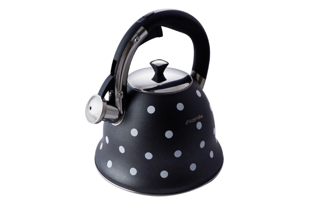 Чайник нержавеющий Kamille - 2,5 л