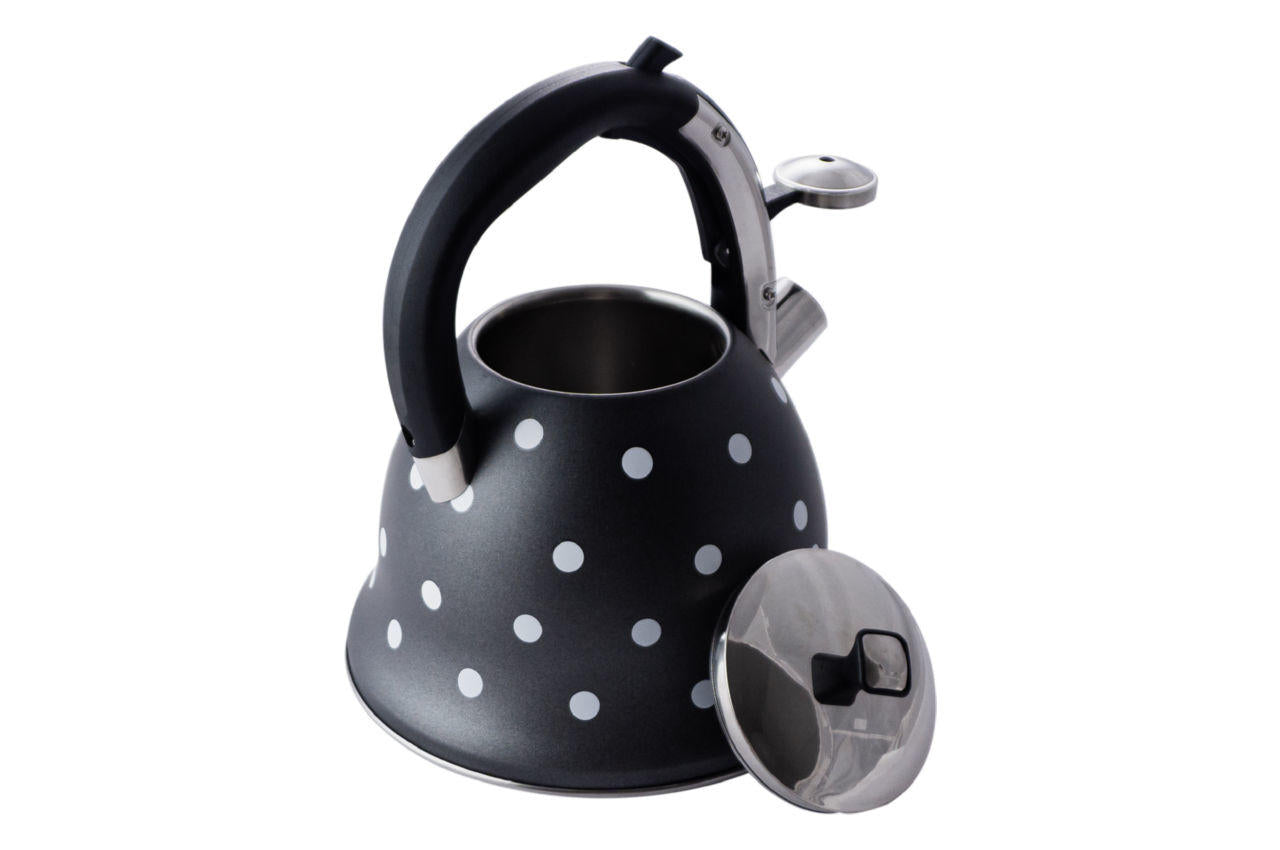 Чайник нержавеющий Kamille - 2,5 л