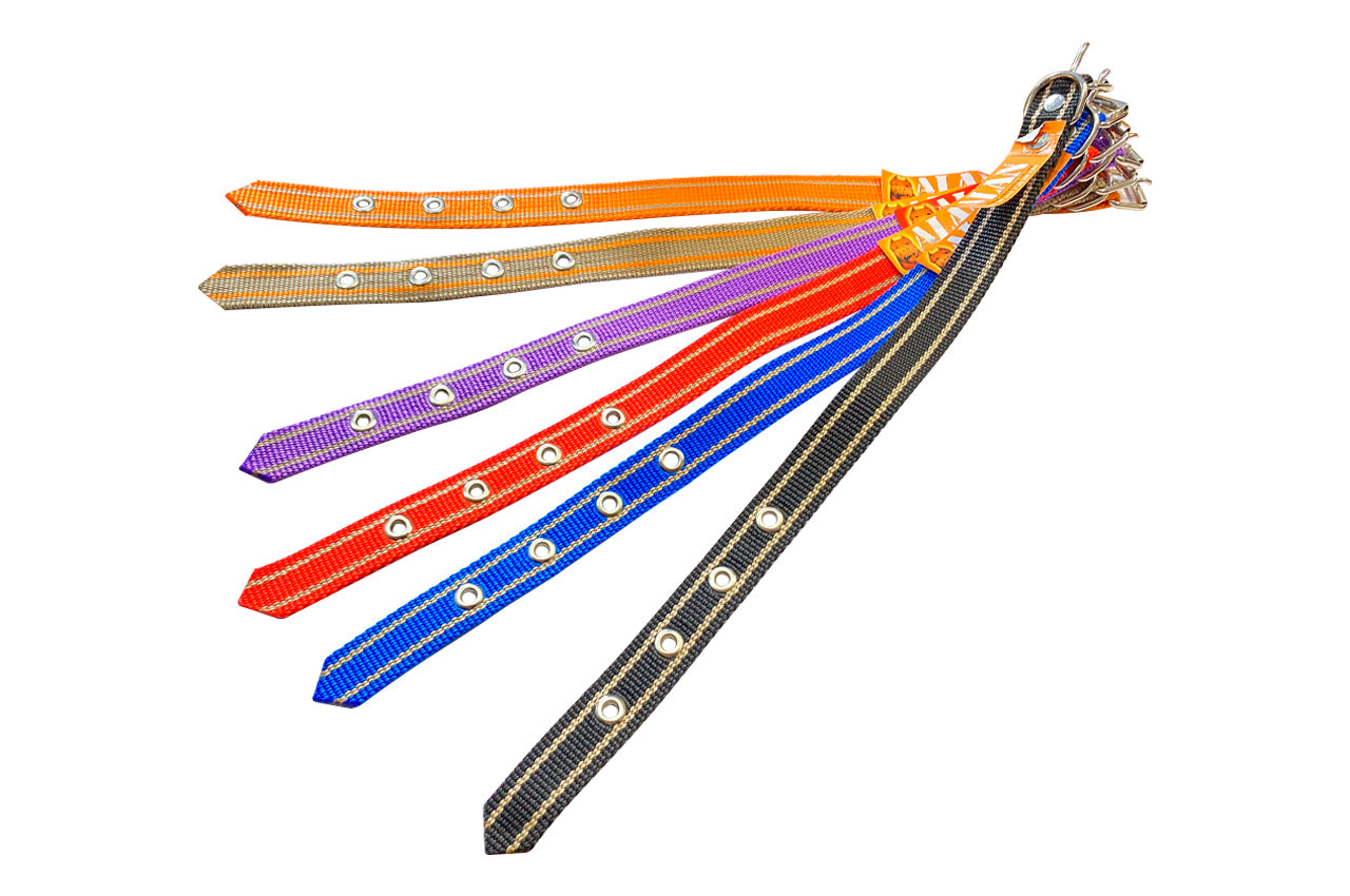 Ошейник капроновый Alan - 20 x 380мм одинарный