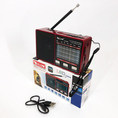 Радіо GOLON RX-8866 цифровий портативний радіоприймач з ліхтариком функцією PowerBank.